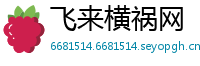 飞来横祸网